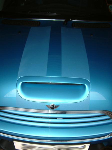 03-01-26_37 - MINI Ghost Viper Stripes.JPG